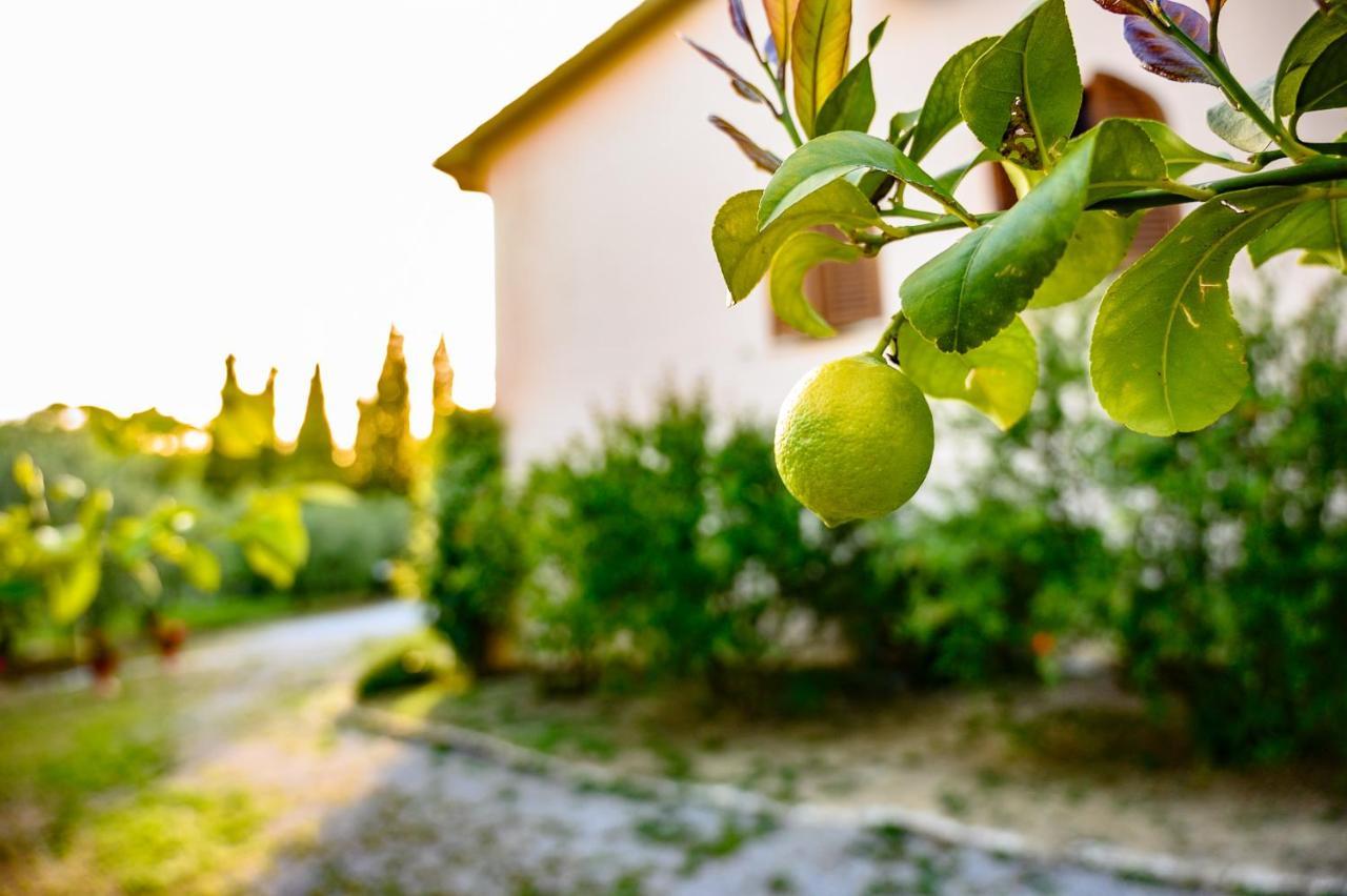 B&B Villa Giulia Saturnia Eksteriør billede